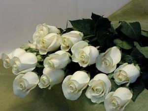 белые розы в знак благодарности